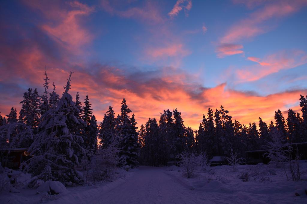 Triple B Bed N Breakfast Bed & Breakfast Whitehorse Exterior photo